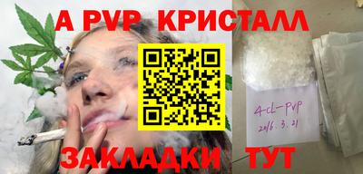крисы Будённовск