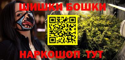крисы Будённовск