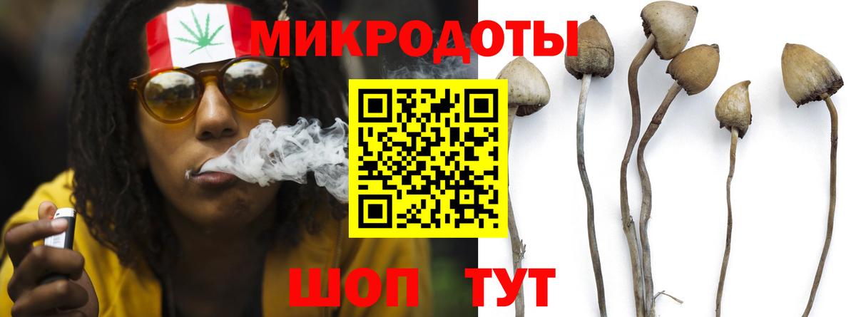 Галлюциногенные грибы прущие грибы Магнитогорск